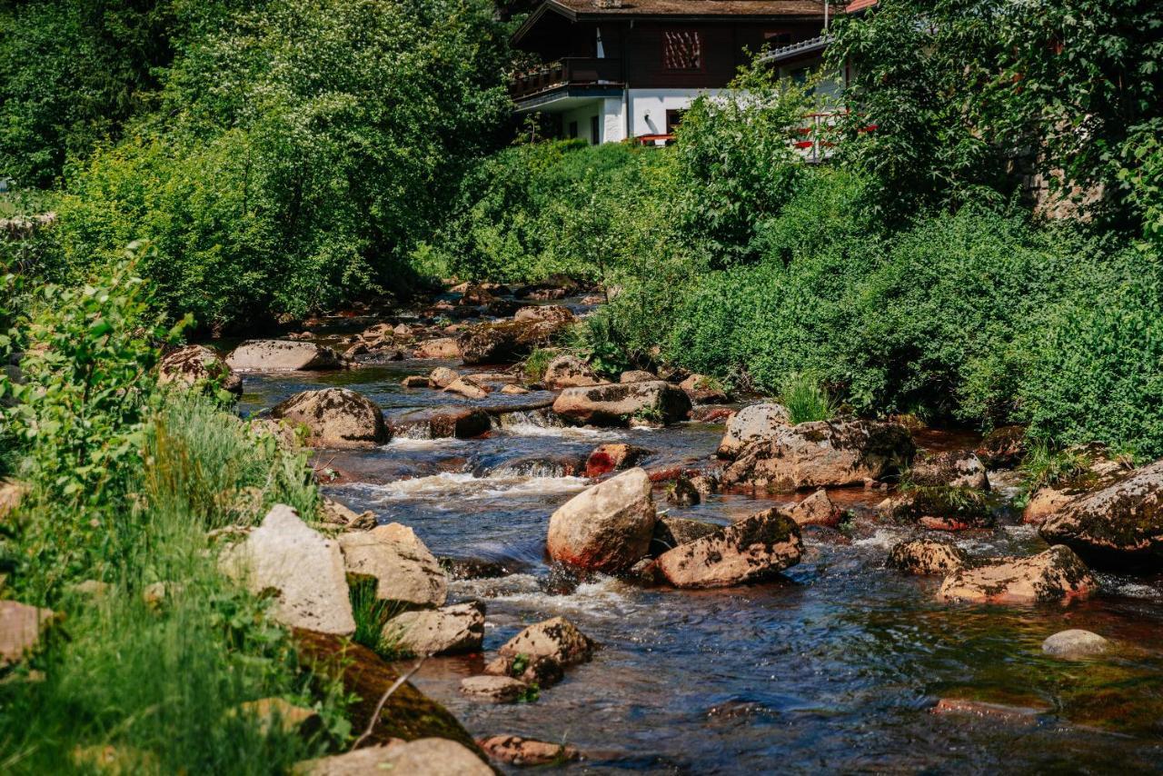 Hotel Villa Bodeblick Schierke Exteriér fotografie